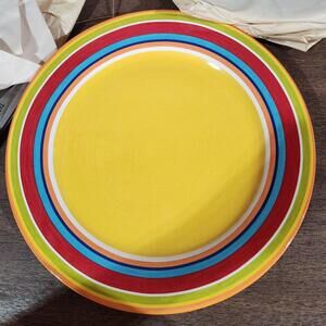 *NEW* Pier 1 Summer Stripes Dinner Plate Retired Discontinued